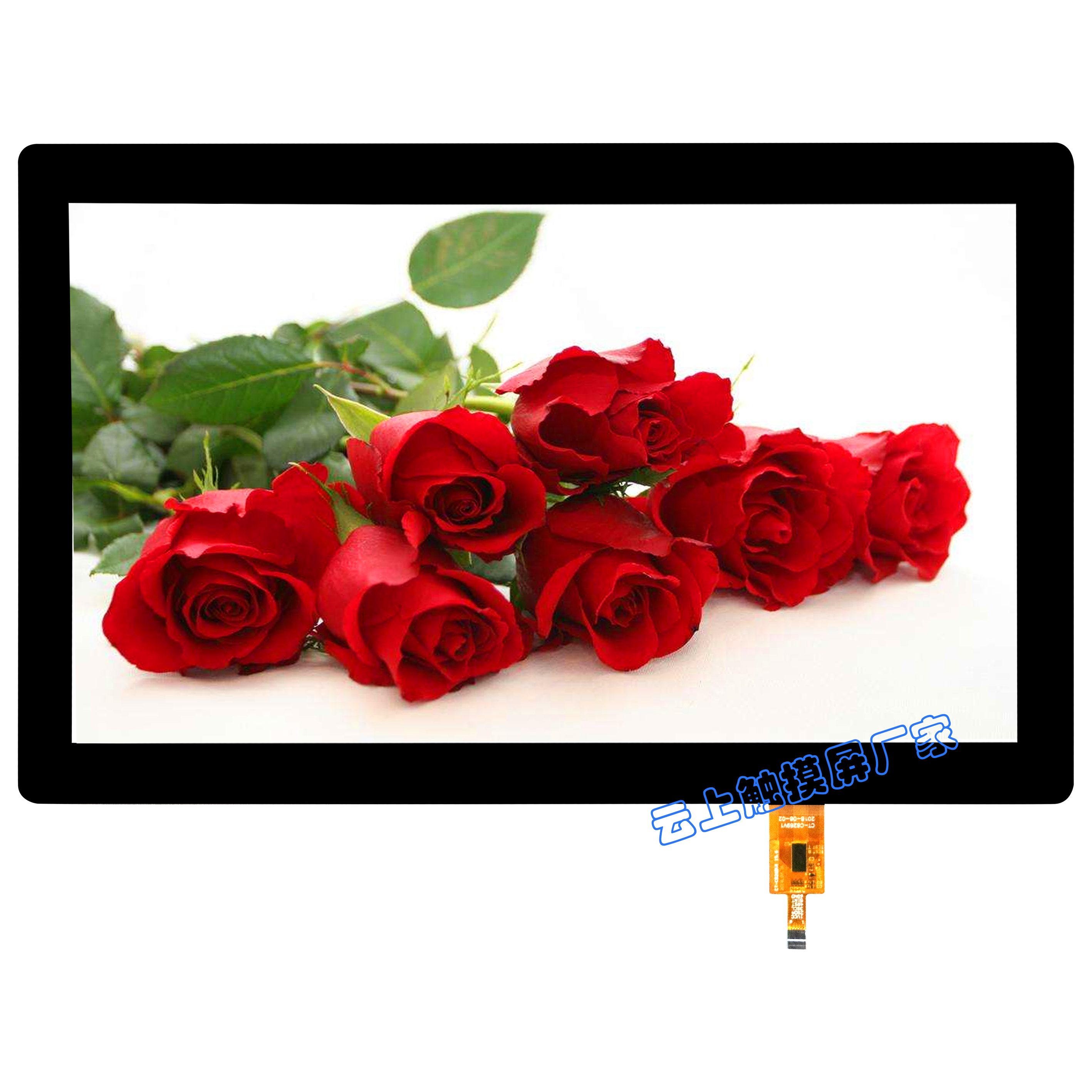 pp电子·(中国)官方网站