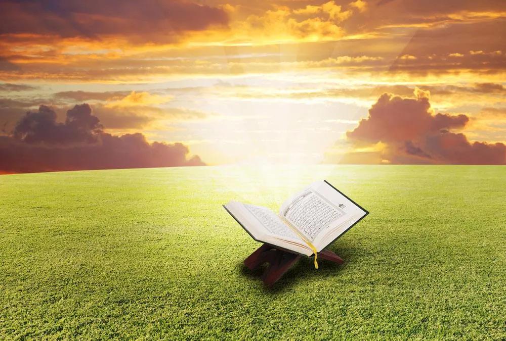 pp电子·(中国)官方网站